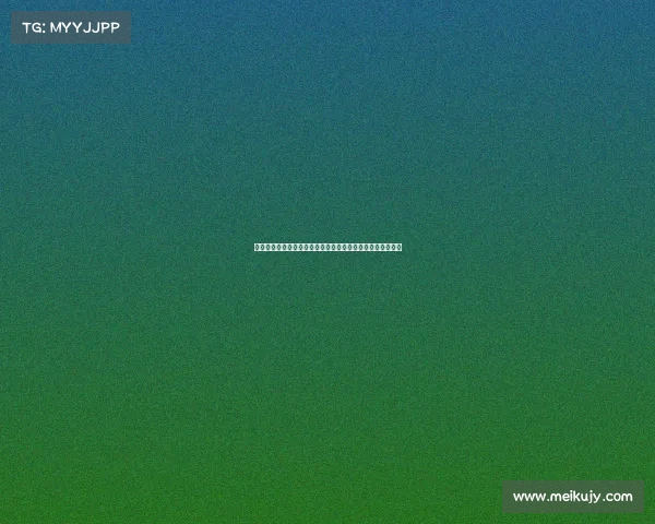 霍勒迪：加盟凯尔特人让我倍感幸运，绿军交易让我重燃激情